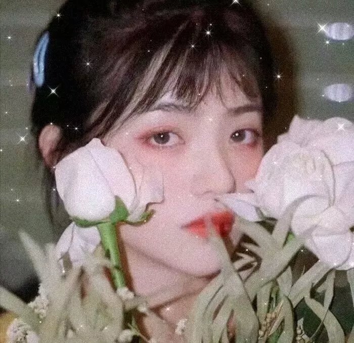 蜜月岛